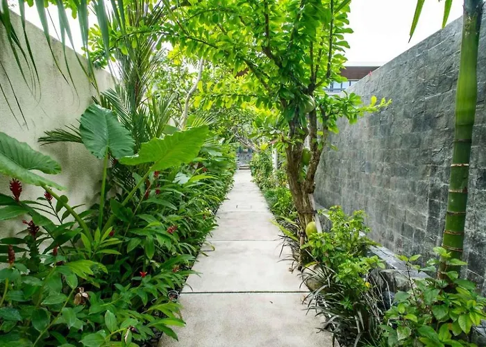 Lillypad 5bed * سمينياك